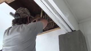 "Live Honey Bee Removal" (Without A Bee Vac)