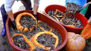 Amazing! Spicy fish stew(loach soup) made with loach that ate pumpkin! etc. Korean HealthyFood TOP3.