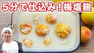 【梅仕事】簡単！万能！完熟梅で梅塩麹を作るコツを教えます