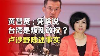 司马南 丨黄智贤：凭啥说台湾是叛乱政权 卢沙野陈述事实