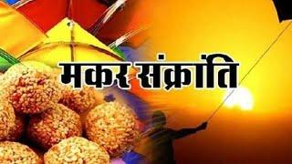 Happy Makar Sankranti Status 2021 | Happy Kite Flying Day | Makar Sankranti WhatsApp Status