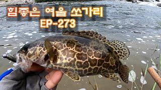 초보 친구 vs 낚시 고수 ? 쏘가리 대결의 결과는 EP-273