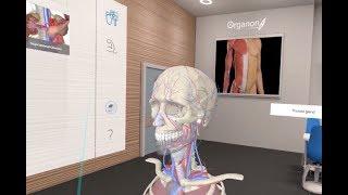 Virtual Reality In Human Anatomy Course