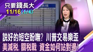 川普強勢回歸白宮 比特幣漲破8萬美元!中小型股選後狂歡?降稅與關稅戰上膛 資金怎沙盤推演?【20241116(第1/4段)只要錢長大*鄭明娟(羅尤美×朱岳中)】