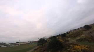 tree gliding before work