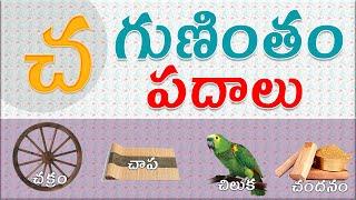 చ గుణింతాక్షర పదాలు | Cha Guninthakshara Padalu | Cha Gunintham padalu in telugu |Flamingokidstelugu