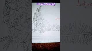 Flower drawing #shorts#ytshorts#arts#anshu.s arts