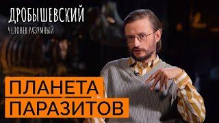 От каких паразитов страдали наши предки? / «Дробышевский. Человек разумный»