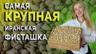 Самая крупная фисташка - Кале-гуччи (Kalleh Ghouchi)