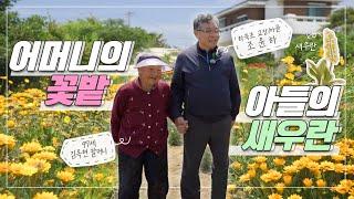 어머니의 꽃밭 아들의 새우란 Mother's and Son's Flower Garden | 정원의 발견 Wonders of Garden | KBS제주 20220610 방송