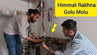 Kaalu Or Roxi || Golu Molu Kafi Himmat Wala Hai