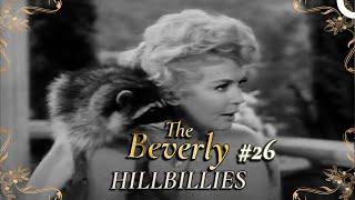 The Beverly Hillbillies - Special Part 26 | Classic Hollywood TV Series