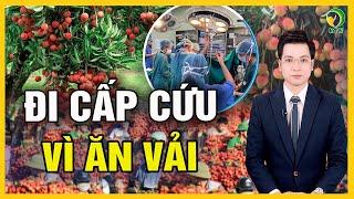 Đi cấp cứu vì ăn liên tục 100 quả vải: Cần ăn thế nào cho đúng? - KHỎE TỰ NHIÊN
