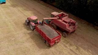 Mark Harvesting Oilseed Rape Aberdeenshire Scotland with Mavic Air