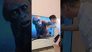 Baby Kong funny moment Godzilla x Kong- The New Empire 2024 #funny #viral #memes