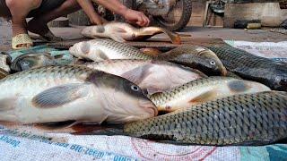 Đắp Cá Bắt Cá Suối  Poòng Văn Quỳnh