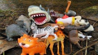 Safari Adventure! Lots of Wild Animal Toys for Kids