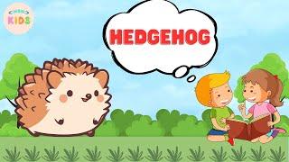 Hedgehog Facts For Kids - Learn All About Hedgehogs | MON Kids