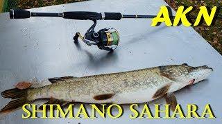 Shimano Sahara