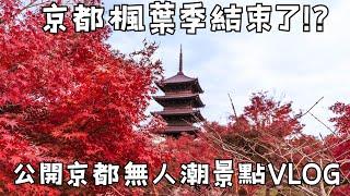 京都自由行2024楓葉最新現況VLOG12.10拍攝｜高台寺夜楓・京都高雄神護寺・東寺｜京都楓葉人潮爆多？！分享無人潮景點｜福岡女孩京都自由行必去景點ep49