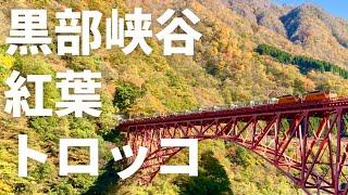 おすすめの紅葉「黒部峡谷鉄道トロッコ電車」【字幕あり】