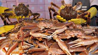 We sell 8,000 per month! Fresh Giant king crab, lobster / Korean street food