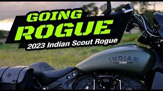 2023 Indian Scout Rogue | I've Gone Rogue. Why I chose it over the Bobber. #indianmotorcycle #rogue