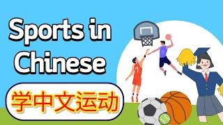 学中文-运动 | Sports in Mandarin Chinese | 汉语-体育运动 | Vocabulary & Sentences of Sports in Chinese