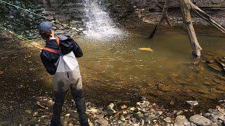 Insane Waterfall Steelhead Hookups - Bobber Downs + Fly Fishing!