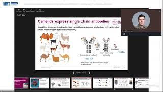 Developing alpaca nanobodies for the fight against COVID-19 - a lecture by Prof  Gerald McInerney