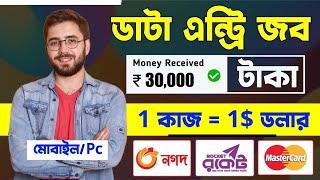 30,000 টাকা ইনকাম প্রতিমাসে | Data Entry Online ! Data Entry Online Jobs From Home