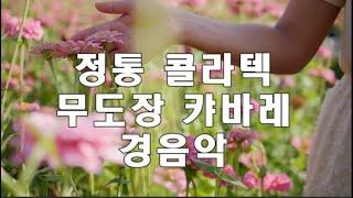 정통 콜라텍 무도장 캬바레 경음악  #전자올겐 #캬바레 #무도장 #콜라텍