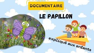 Le papillon - Documentaire animalier pour les enfants - Sciences ludiques 