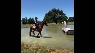 Sir Philip Riding in the Open