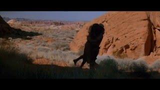 Kool Cinematographers in 60 seconds #1: Dean Cundey