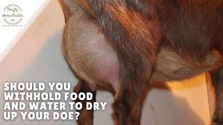 Withholding food and water to get a doe to dry up?