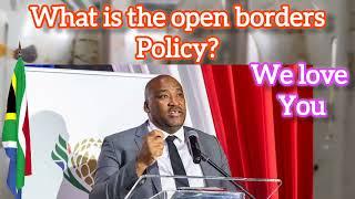 This is the truth about foreigners in South Africa -Gayton Mckenzie