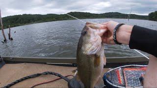 Bass Fishing after a Summer Thunderstorm (West Virginia Bass Fishing)