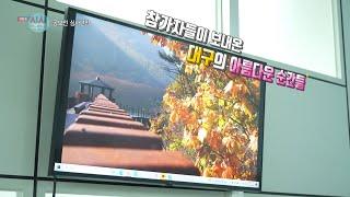 0222 생방송 시시각각 ‘대구 자연의 소리’ 공모전 ①공모작 하이라이트