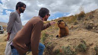 - Deosai National Park - 2nd highest plateau on earth 