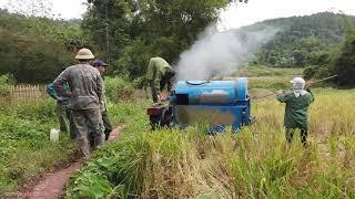 Harvesting Rice in Vietnam | Vietnam Village