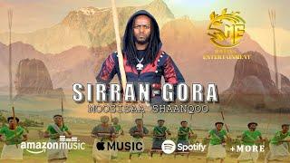 Mosisa Shanko_Sirran Gora_New Oromo Music_2024_-_(Official Video)