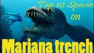 Mariana Trench Top 10 Species on the deepest sea