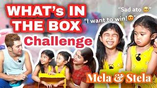 What’s In The Box Challenge with @likemelaandstela9694 | Melason Family Vlog