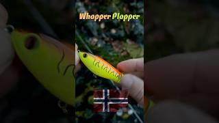 Whopper Plopper in Norwegen - Topwater Angeln auf Pollack #whopperplopper #fishing