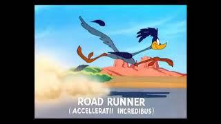 EL CORRECAMINOS Y WILE E. COYOTE - ROAD RUNNERS