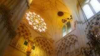 大聖堂の鐘の音　The sound of the bells of the Cathedral #鐘の音 #大聖堂 #bells #sound #cathedral