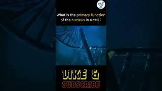 STORE GENETIC INFORMATION IN THE FORM OF DNA|| Learnify