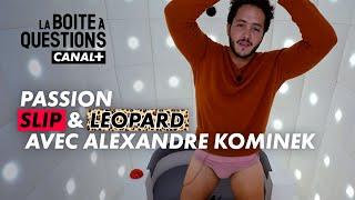 Alexandre Kominek, une tornade de plaisir