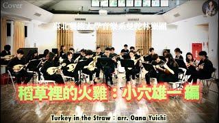 Turkey in the Straw / arr. Oana Yuichi｜TNUA｜Mandolin Lecturer：Zihan Chen